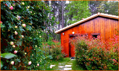 Gîtes de Saint-symphorien à Saint-Symphorien