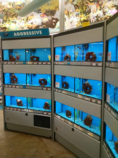 Pet Supply Store «Petco Animal Supplies», reviews and photos, 4012 W 27th Ave, Kennewick, WA 99337, USA