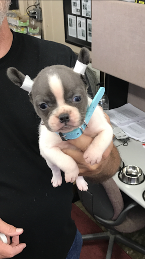 Pet Store «Tri-Creek Kennels», reviews and photos, 5641 US-129, Pendergrass, GA 30567, USA