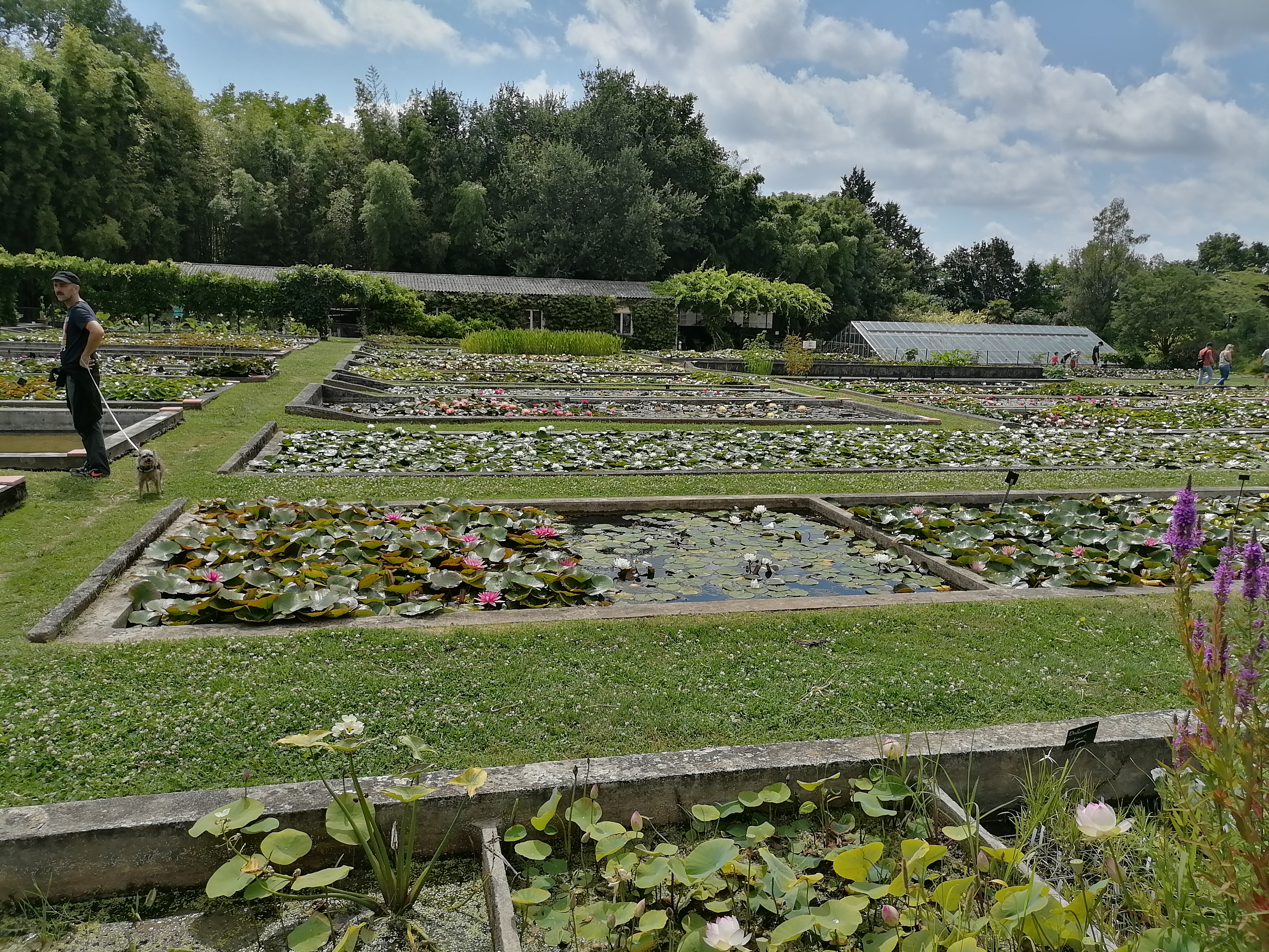 Photo n° 8 de l'avis de Isabelle.o fait le 15/07/2021 à 16:36