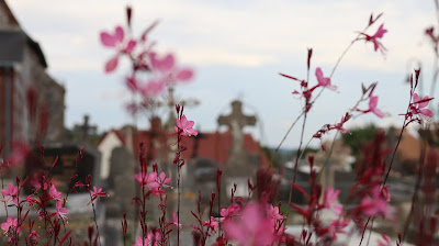 Ancien Cimetière de Martin-Eglise à Martin-Église