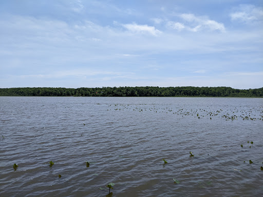 Nature Preserve «Jug Bay Wetlands Sanctuary», reviews and photos, 1361 Wrighton Rd, Lothian, MD 20711, USA