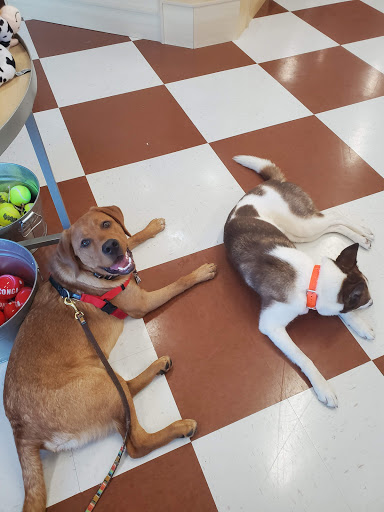 Pet Supply Store «Brown Dog Bakery», reviews and photos, 2310 SE Delaware Ave, Ankeny, IA 50021, USA