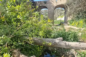 Chadwick Lakes Nature Trail image