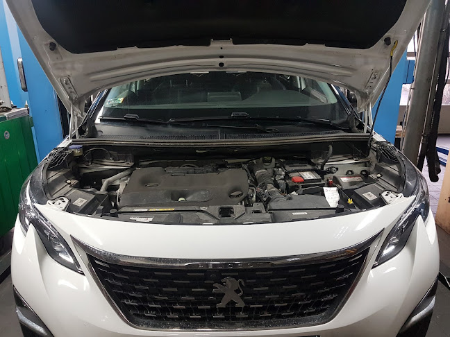 PRO-S.C. Jarzębski Zakład mechaniki pojazdowej - Mechanik samochodowy