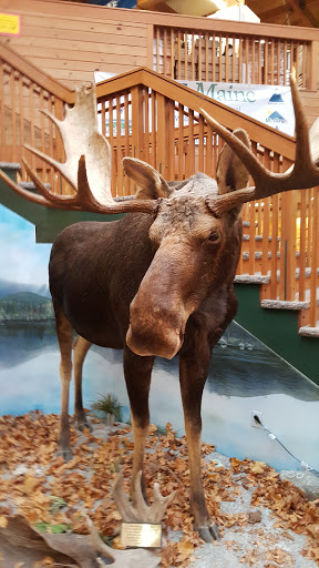 Outdoor Sports Store «Kittery Trading Post», reviews and photos, 301 US-1, Kittery, ME 03904, USA