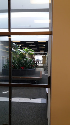 Shopping Mall «Pierremont Mall Shopping Center», reviews and photos, 4801 Line Ave, Shreveport, LA 71106, USA