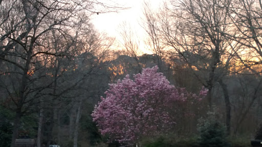 Concert Hall «Cobb Energy Performing Arts Centre», reviews and photos, 2800 Cobb Galleria Pkwy, Atlanta, GA 30339, USA