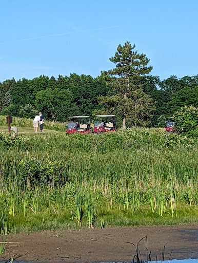 Golf Course «Tanglewood Golf Course», reviews and photos, 22805 Country Club Dr, South Lyon, MI 48178, USA