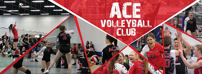 ACE Volleyball Club- Calgary Chapter