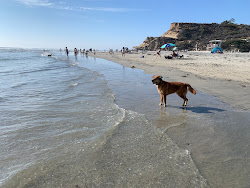 Del Mar Dog beach'in fotoğrafı imkanlar alanı