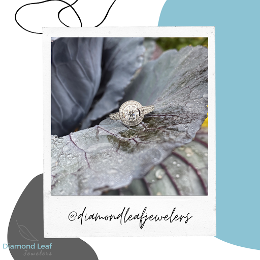 Jewelry Store «Diamond Leaf Jewelers», reviews and photos, 920 E 2nd Ave #117, Coralville, IA 52241, USA