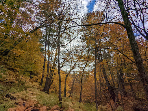 Silverbrook Trailhead