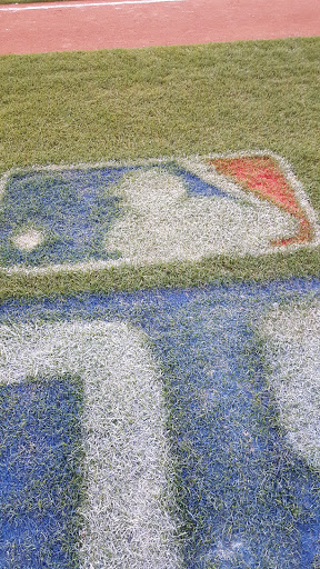 Stadium «Wrigley Field», reviews and photos, 1060 W Addison St, Chicago, IL 60613, USA