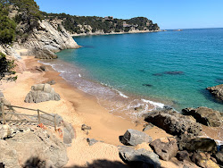 Foto di Spiaggia di Portopi - luogo popolare tra gli intenditori del relax