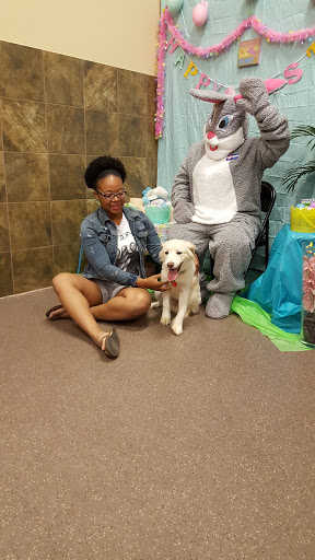 Pet Supply Store «PetSmart», reviews and photos, 4400 Fort Jackson Blvd #300, Columbia, SC 29209, USA