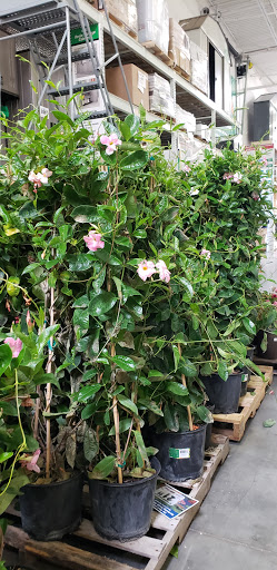 Home Improvement Store «Menards», reviews and photos, 6405 Jackson Rd, Ann Arbor, MI 48103, USA