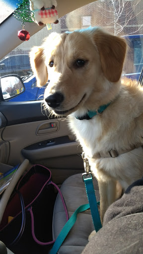 Pet Supply Store «PetSmart», reviews and photos, 9887 76th St, Pleasant Prairie, WI 53158, USA