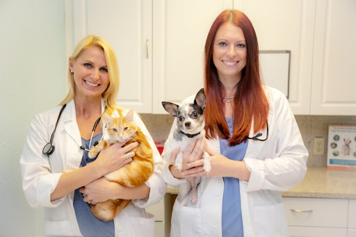 Harmony Vet Care of Oldsmar image
