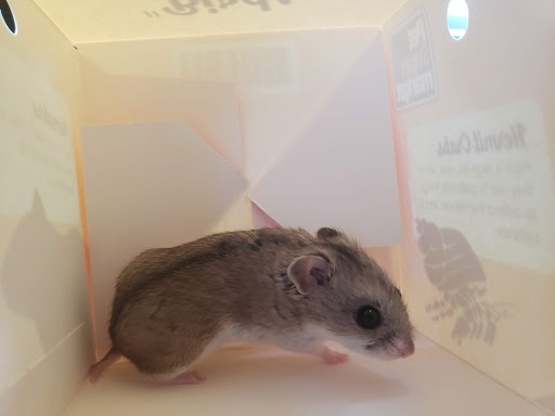 Pet Supply Store «Pet Supermarket», reviews and photos, 1746 E Silver Springs Blvd, Ocala, FL 34470, USA