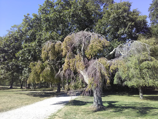 State Park «Borderland State Park», reviews and photos, 259 Massapoag Ave, North Easton, MA 02356, USA