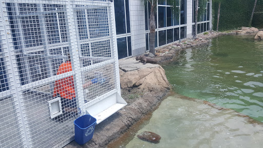 Zoo «Rainforest Pyramid», reviews and photos, 1 Hope Blvd, Galveston, TX 77554, USA