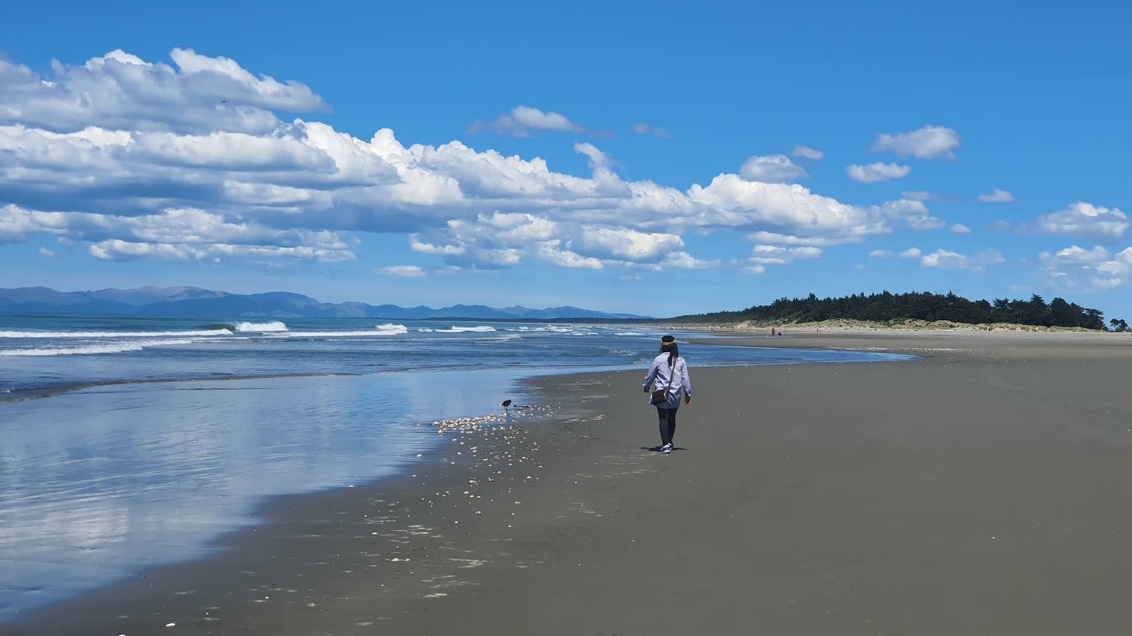 Waikuku Beach photo #8