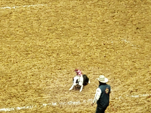 Arena «Bridgestone Arena», reviews and photos, 501 Broadway, Nashville, TN 37203, USA