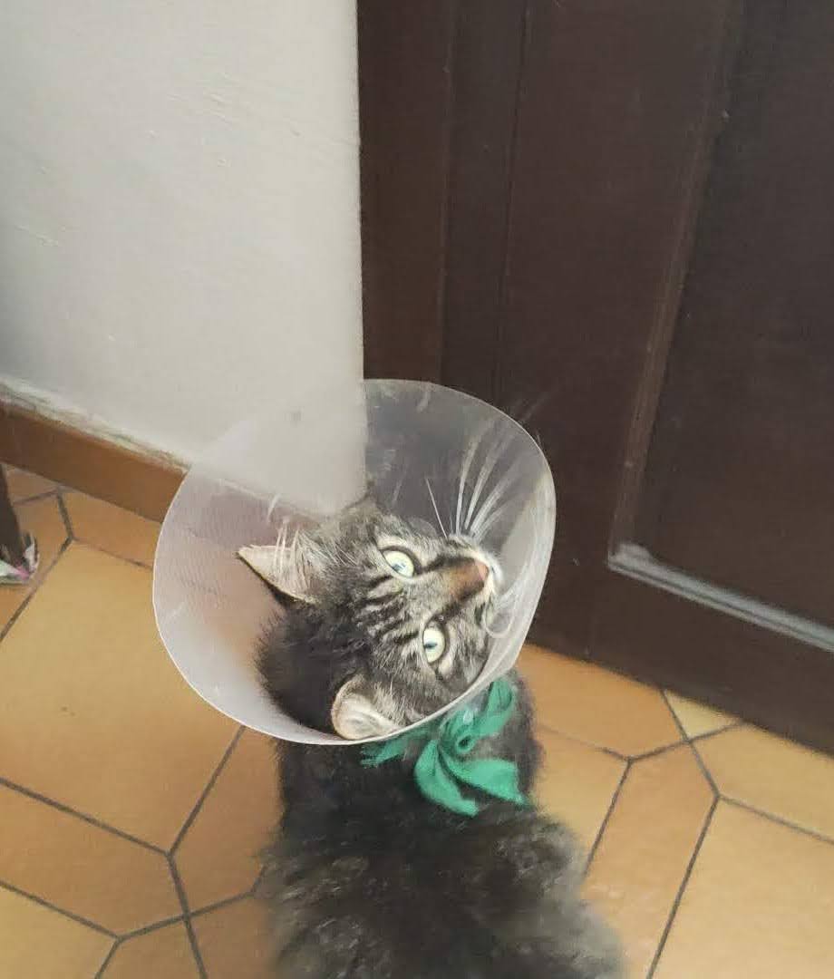 Photo n° 1 de l'avis de Vincent.a fait le 10/06/2023 à 20:41