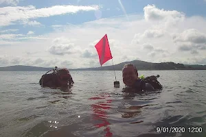 Public Safety Diving, LLC image
