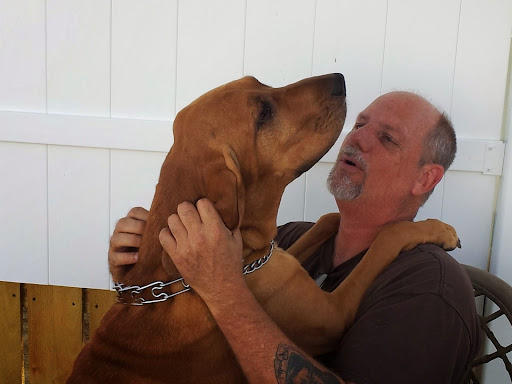 Pet Boarding Service «Howliday Inn Suites & Treats Pet Resort», reviews and photos, 1 Davis Ct, Hurricane, WV 25526, USA