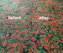 Genesis Floor Care & Janitorial - Photo 4 - Car repair in , Thornton