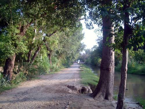 Forest colony gattwala Forest Park faisalabad.( Forest department)