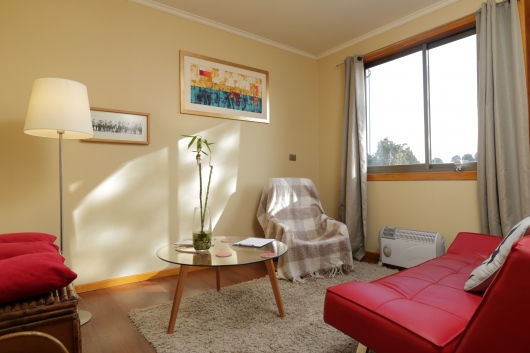 Ps. Francisco Arismendi Büchner, Psicólogo