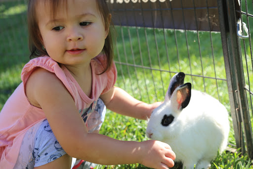 Preschool «Kiddie Academy of Fontana», reviews and photos, 11117 Sierra Ave, Fontana, CA 92337, USA