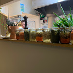 Photo n° 1 de l'avis de Maithe.o fait le 18/02/2023 à 11:11 pour Aperta à La Rochelle