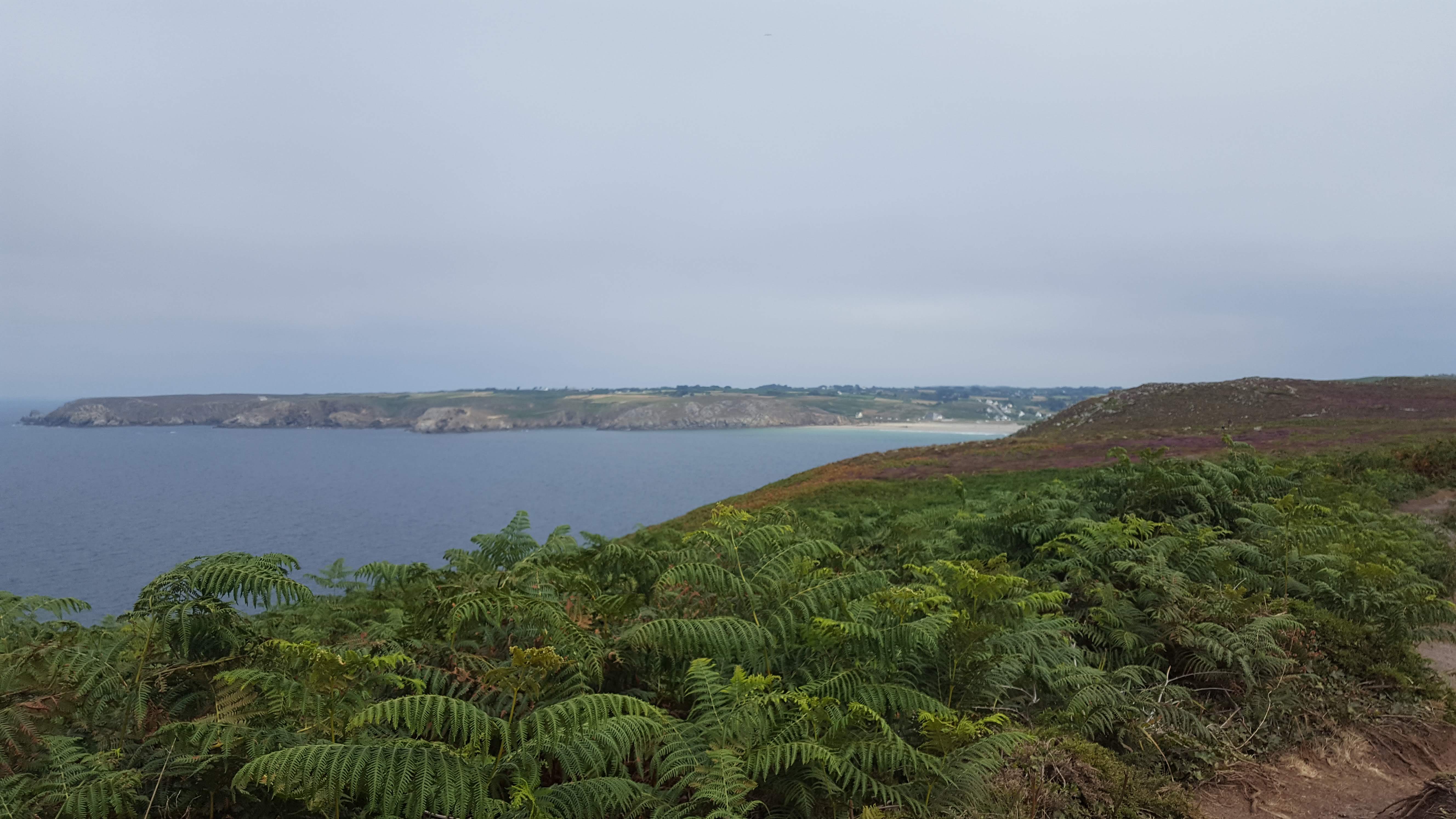 Photo n° 1 de l'avis de Mikael. fait le 13/08/2018 à 09:08