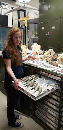 Science Museum «Buffalo Museum of Science», reviews and photos, 1020 Humboldt Pkwy, Buffalo, NY 14211, USA