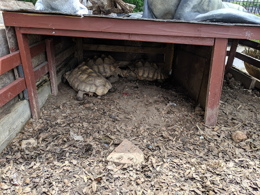 Pet Store «Fish-N-Pets Unlimited», reviews and photos, 11710 Bissonnet St, Houston, TX 77099, USA