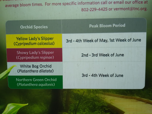 Nature Preserve «Eshqua Bog Natural Area», reviews and photos, Garvin Hill Rd, Woodstock, VT 05091, USA