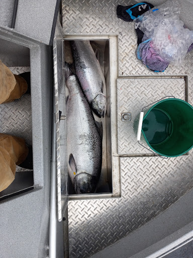 Sporting Goods Store «Rogue Outdoor Store», reviews and photos, 29865 Ellensburg Ave, Gold Beach, OR 97444, USA