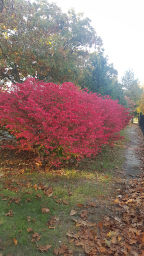 Zoo «Buttonwood Park Zoo», reviews and photos, 425 Hawthorn St, New Bedford, MA 02740, USA