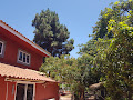 Cottage Bed & breakfast FINCA TORRES 35320 Vega de San Mateo (miniature)