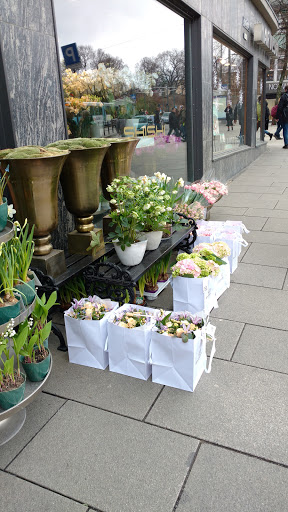 Performing Arts Theater «Georgetown Palace Theatre», reviews and photos, 810 S Austin Ave, Georgetown, TX 78626, USA