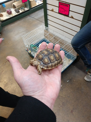 Pet Supply Store «Buckles Feed Depot & Pet Supply», reviews and photos, 220 S 4th St, Lafayette, IN 47901, USA