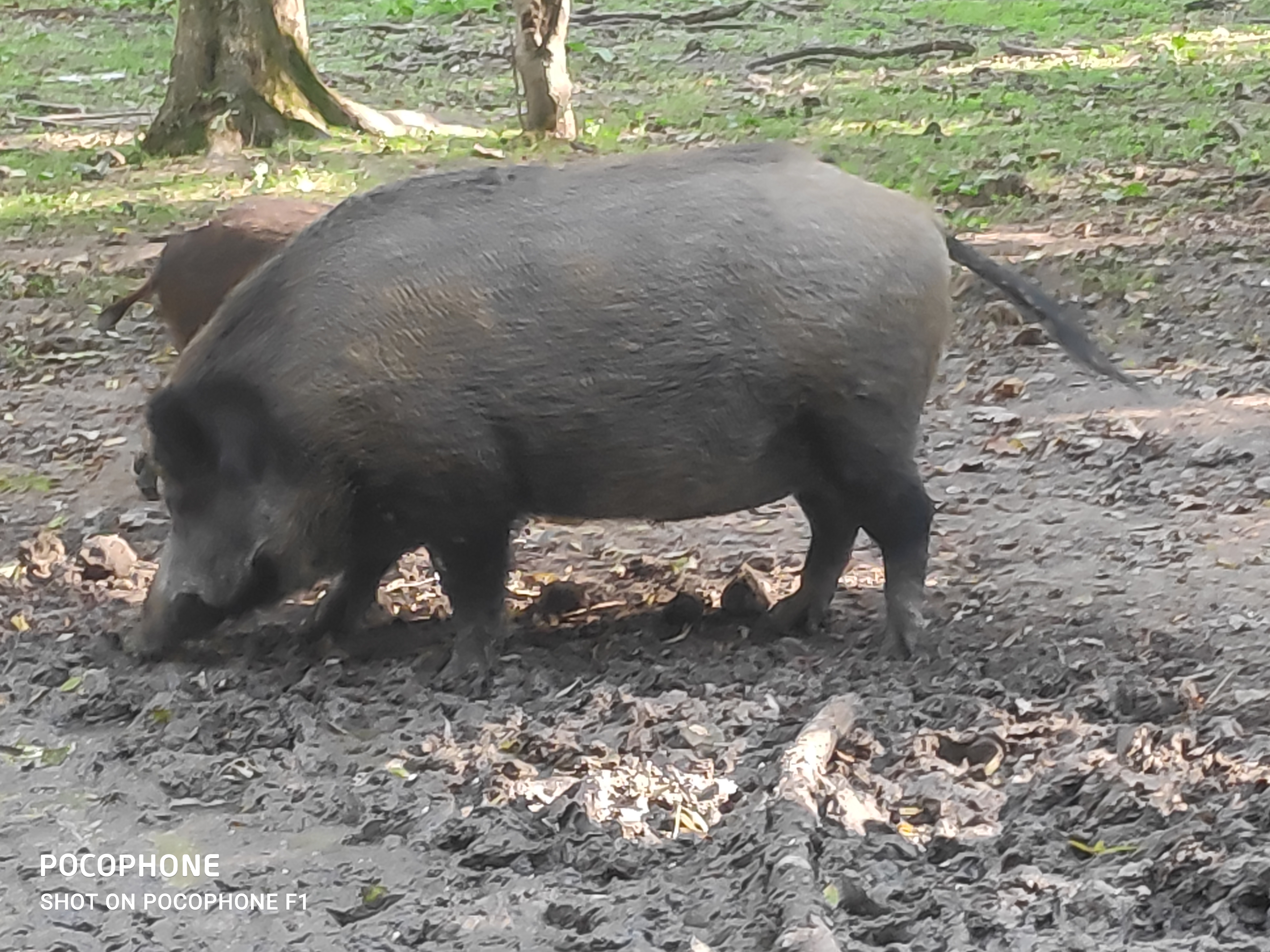 Photo n° 3 de l'avis de Christophe.u fait le 16/10/2021 à 16:00