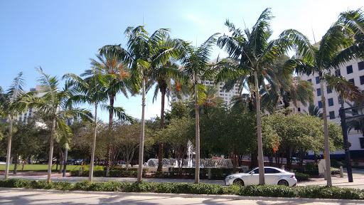 Art Museum «NSU Art Museum Fort Lauderdale», reviews and photos, 1 E Las Olas Blvd, Fort Lauderdale, FL 33301, USA