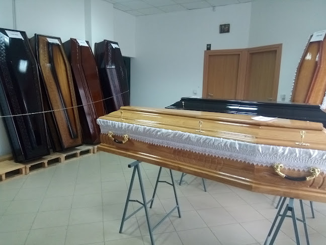 Comentarii opinii despre Alice and Angel