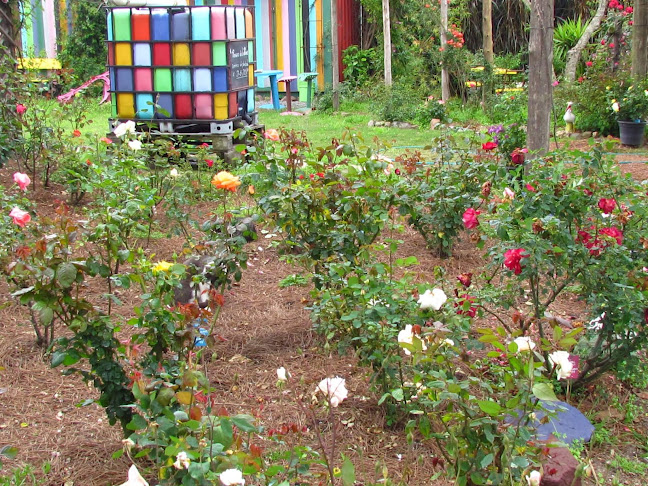 Paseo De Las Rosas - Centro de jardinería