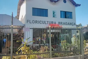 Floricultura Bragança image